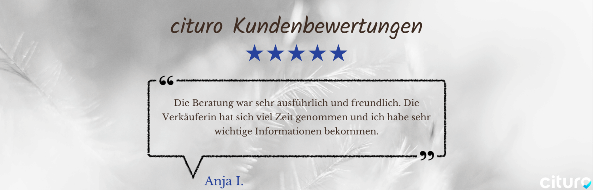 Cituro_Bewertung_18.png