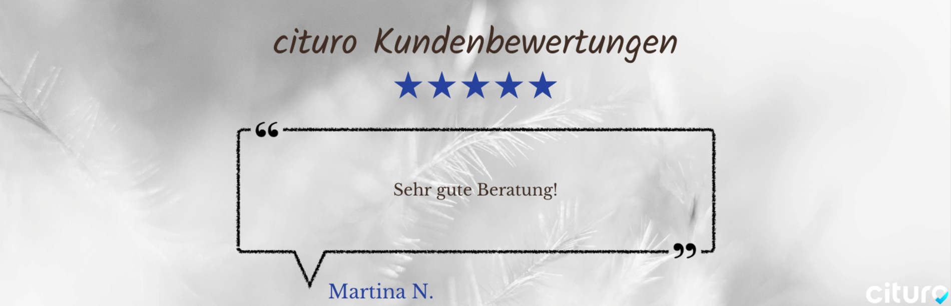 Cituro_Bewertung_13.png