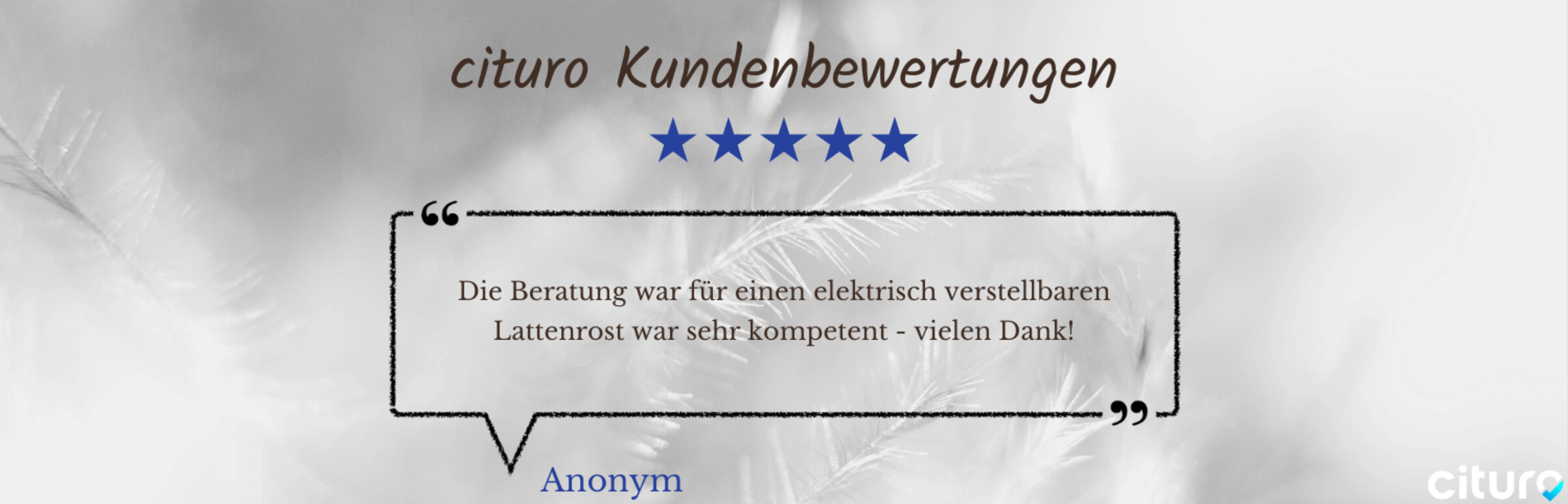 Cituro_Bewertung_7.png