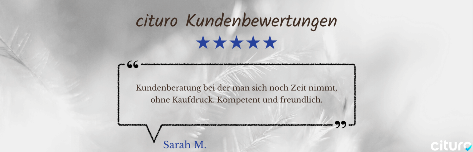 Cituro_Bewertung_8.png