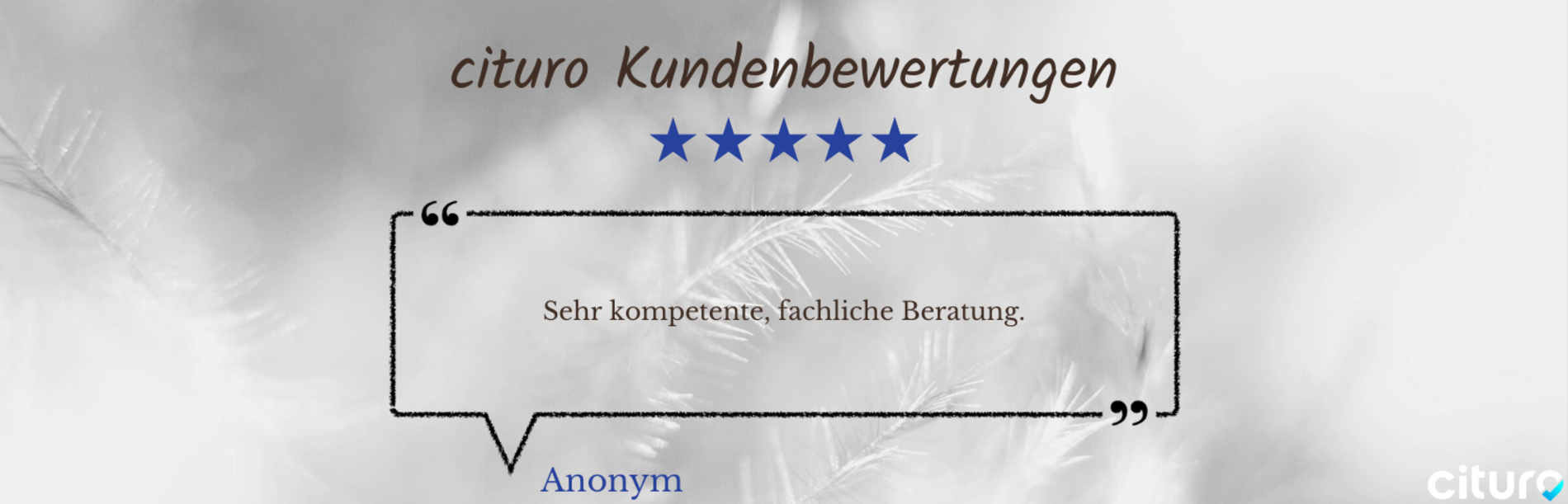 Cituro_Bewertung_10.png