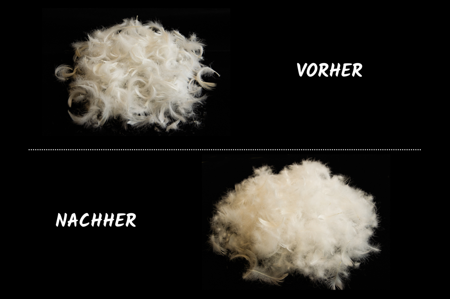 Federn_vorher-nachher.png