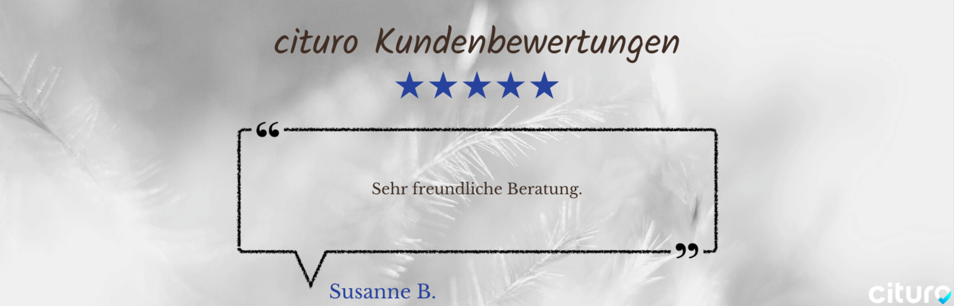 Cituro_Bewertung_4.png