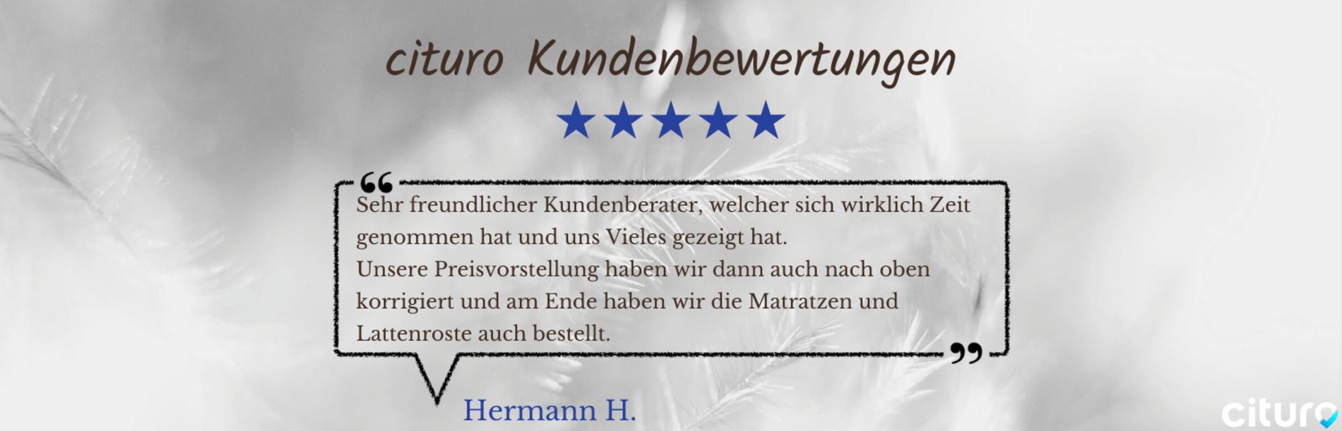 Cituro_Bewertung_1.png