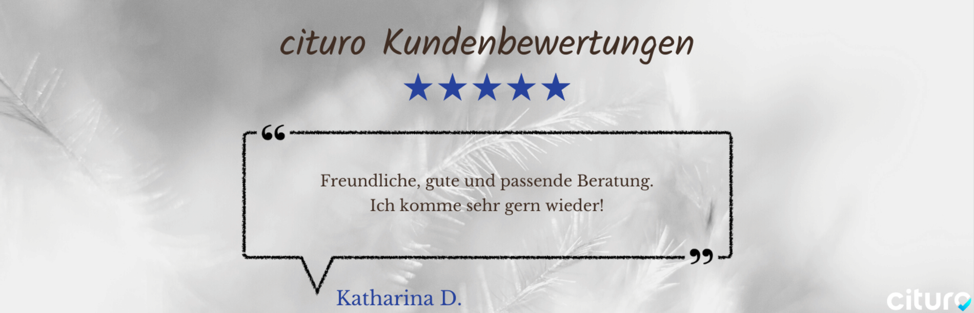 Cituro_Bewertung_9.png