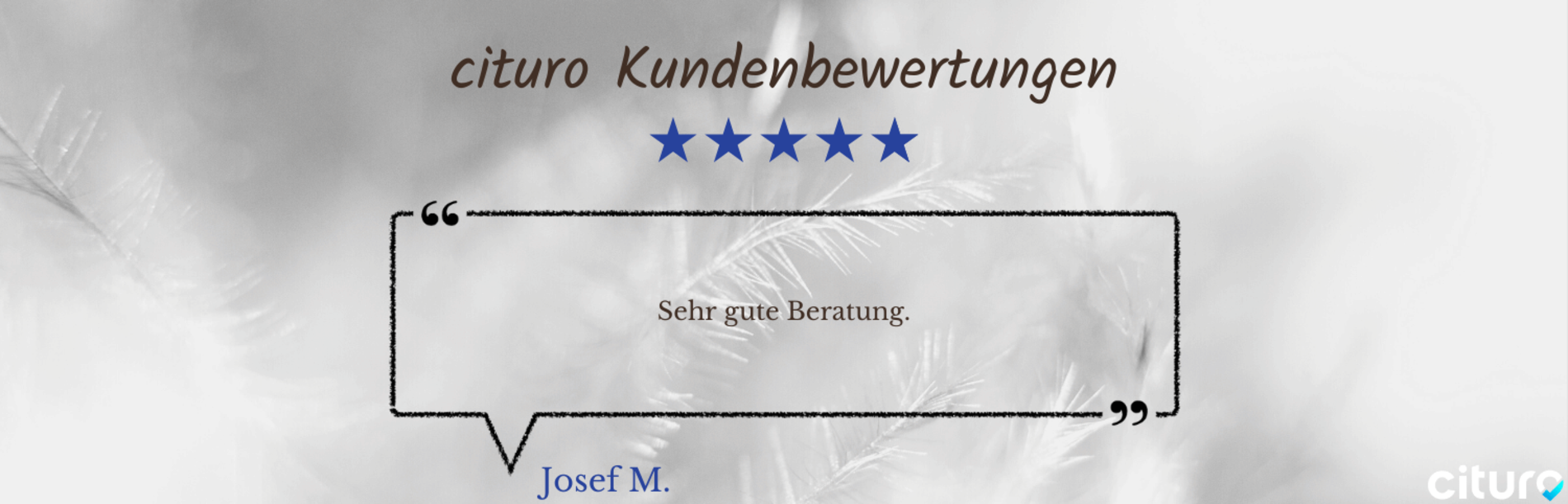 Cituro_Bewertung_5.png
