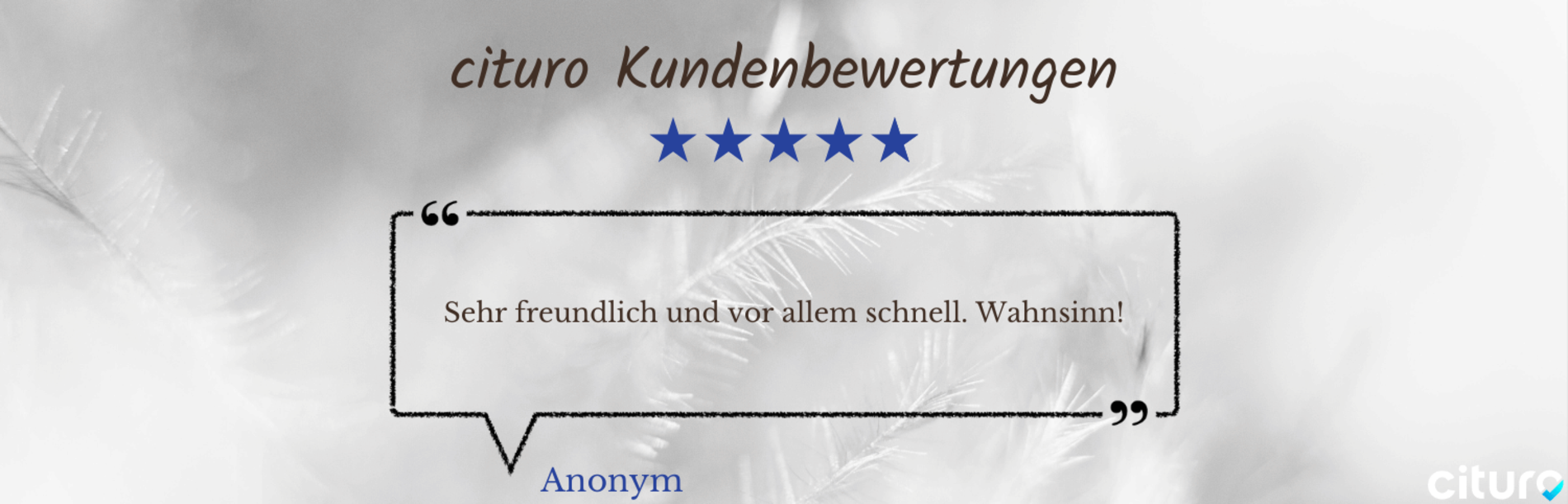 Cituro_Bewertung_15.png