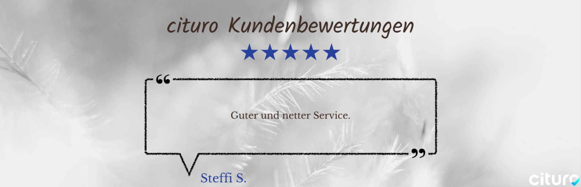 Cituro_Bewertung_11.png