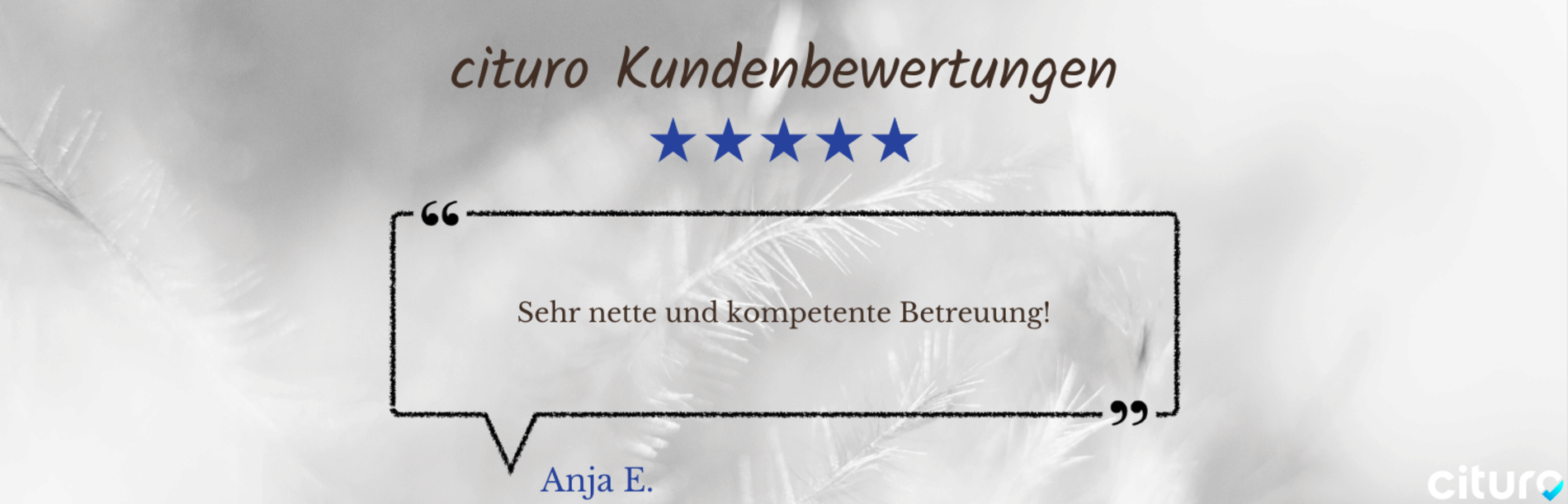 Cituro_Bewertung_14.png