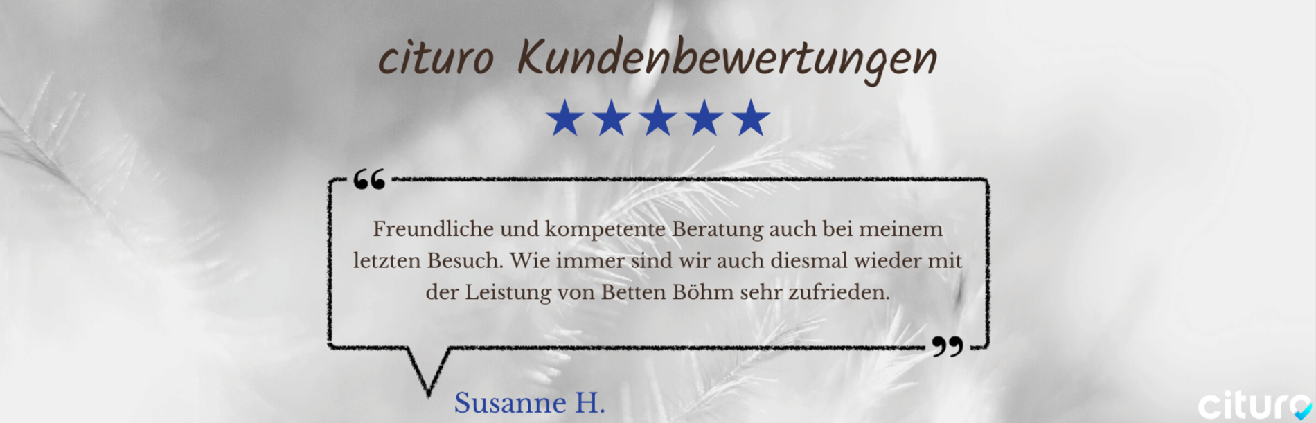 Cituro_Bewertung_3.png
